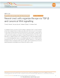 Neural Crest Cells Organize the Eye Via TGF-Β and Canonical Wnt Signalling