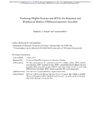 Producing Hfq/Sm Proteins and Srnas for Structural and Biophysical Studies of Ribonucleoprotein Assembly