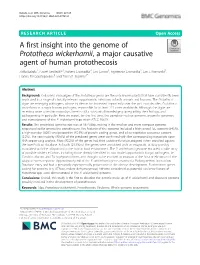 A First Insight Into the Genome of Prototheca Wickerhamii, a Major