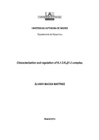 Characterization and Regulation of Kv1.5-Kvβ1.3 Complex