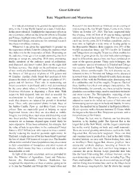 Guest Editorial Bats: Magnificent and Mysterious