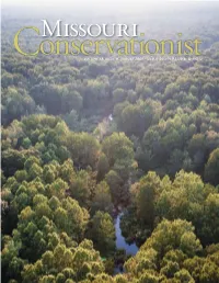 Missouri Conservationist to the Shelf Without How Much I Enjoyed Your June Article in the Magazine As It Had the Numbers I Needed When I Conservationist Magazine