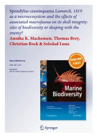 Spondylus Crassisquama Lamarck, 1819 As a Microecosystem and the Effects of Associated Macrofauna on Its Shell Integrity