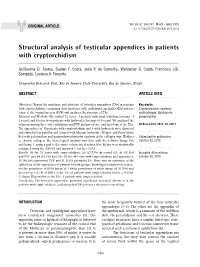 Structural Analysis of Testicular Appendices in Patients with Cryptorchidism ______Guilherme D