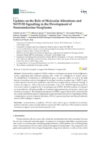 Updates on the Role of Molecular Alterations and NOTCH Signalling in the Development of Neuroendocrine Neoplasms