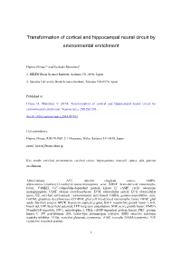 Transformation of Cortical and Hippocampal Neural Circuit by Environmental Enrichment