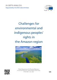 Challenges for Environmental and Indigenous Peoples' Rights in The