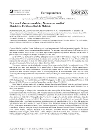 First Record of Cassava Mealybug, Phenacoccus Manihoti (Hemiptera: Pseudococcidae), in Malaysia