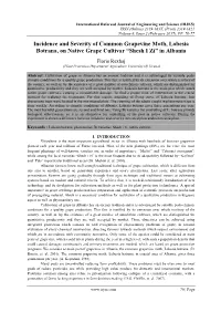 Incidence and Severity of Common Grapevine Moth, Lobesia Botrana, on Native Grape Cultivar “Shesh I Zi” in Albania