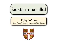 Parallel Siesta.Graffle