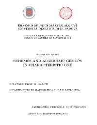 Schemes and Algebraic Groups in Characteristic One