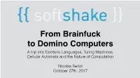 A Trip Into Estoteric Languages, Turing Machines, Cellular Automata and the Nature of Computation