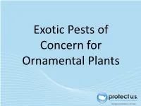 Exotic Pests of Concern for Ornamental Plants Introduction