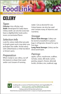 Foodlink® CELERY