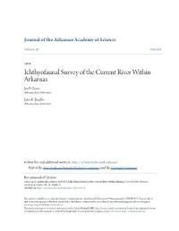 Ichthyofaunal Survey of the Current River Within Arkansas Joe F