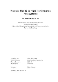 Newest Trends in High Performance File Systems