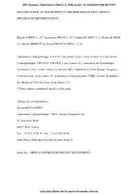 Identification of Transcripts Overexpressed During Airway