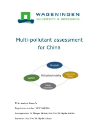 Multi-Pollutant Assessment for China