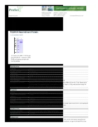FCGR1A Recombinant Protein