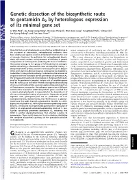 Gentamicin A2 by Heterologous Expression of Its Minimal Gene Set