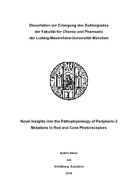 Novel Insights Into the Pathophysiology of Peripherin-2 Mutations in Rod and Cone Photoreceptors