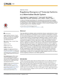 Regulatory Divergence of Transcript Isoforms in a Mammalian Model System