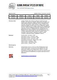 Sparus Aurata Global Invasive Species Database (GISD)