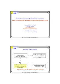 What Is a Metamodel: the OMG's Metamodeling Infrastructure