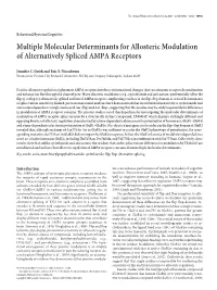 Multiple Molecular Determinants for Allosteric Modulation of Alternatively Spliced AMPA Receptors