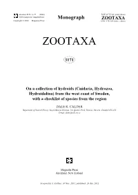 Cnidaria, Hydrozoa, Hydroidolina) from the West Coast of Sweden, with a Checklist of Species from the Region
