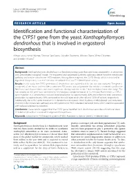 Identification and Functional Characterization of the CYP51 Gene