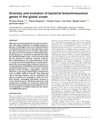 Diversity and Evolution of Bacterial