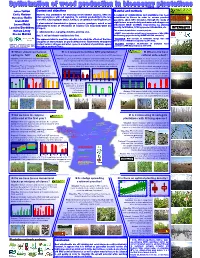 Optimization of Wood Production In