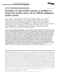 Evaluation of Copy-Number Variants As Modifiers of Breast and Ovarian