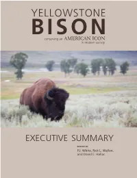 Yellowstone Bison EXECUTIVE SUMMARY