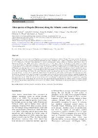 Alien Species of Bugula (Bryozoa) Along the Atlantic Coasts of Europe