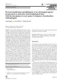 Revised Classification and Phylogeny of an Afrotropical Species Group Based on Molecular and Morphological Data, with the Descri