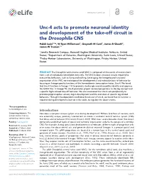 Unc-4 Acts to Promote Neuronal Identity and Development of The