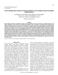 How to Identify Dear Enemies: the Group Signature in the Complex Song of the Skylark Alauda Arvensis