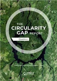 Circularity Gap Report