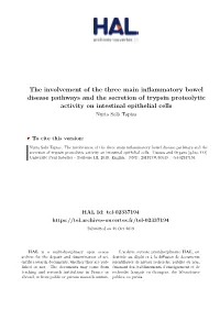 The Involvement of the Three Main Inflammatory Bowel Disease Pathways and the Secretion of Trypsin Proteolytic Activity on Intes