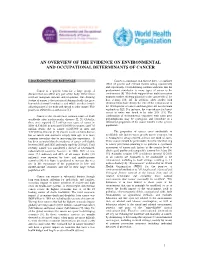 An Overview of the Evidence on Environmental and Occupational Determinants of Cancer