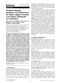 Parallels Between Playbacks and Pleistocene Tar Seeps Suggest