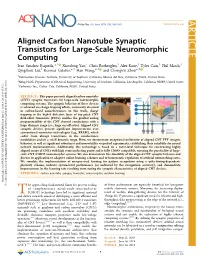 Aligned Carbon Nanotube Synaptic Transistors for Large-Scale