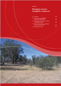 Managing Red Gum Floodplain Ecosystems