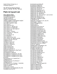Palm & Cycad List