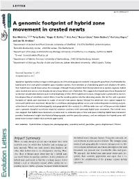 A Genomic Footprint of Hybrid Zone Movement in Crested Newts