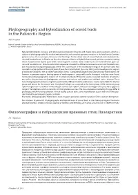 Phylogeography and Hybridization of Corvid Birds in the Palearctic Region