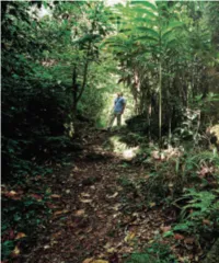 Sabah Development Corridor 168 CHAPTER 7
