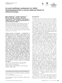 A Novel Multistep Mechanism for Initial Lymphangiogenesis in Mouse Embryos Based on Ultramicroscopy